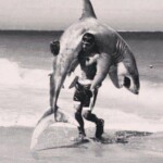 WhatsApp Image 2025-12-28 at 4.55.49 PM